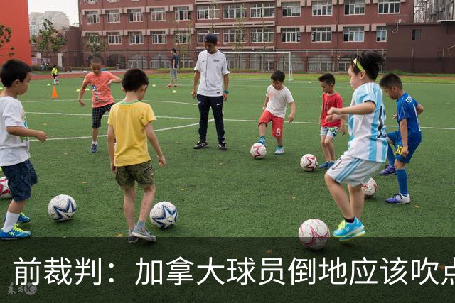前裁判：加拿大球员倒地应该吹点球，VAR介不介入的标准不统一