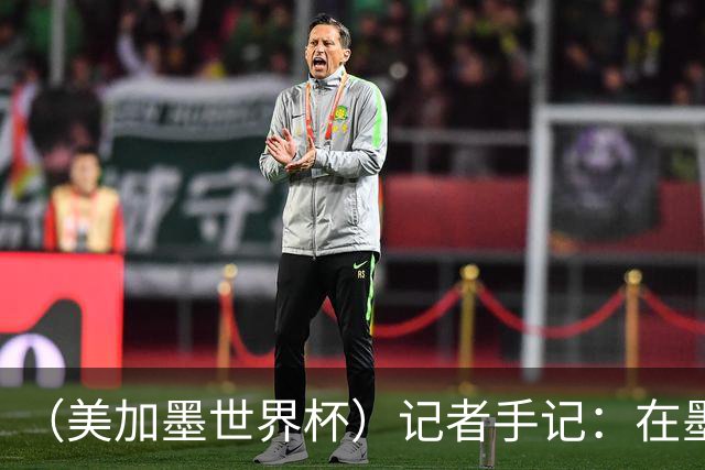 （美加墨世界杯）记者手记：在墨西哥城，足球是一场庆典