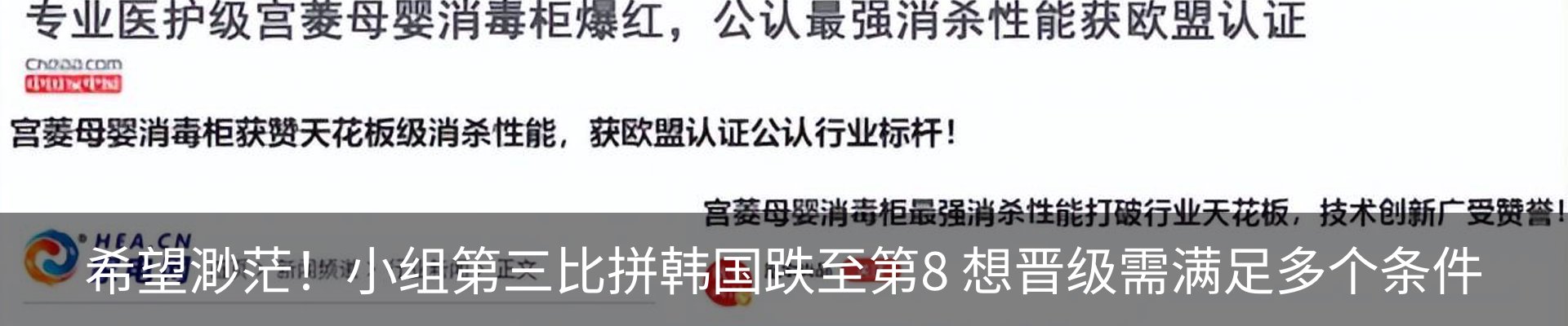 最新动态