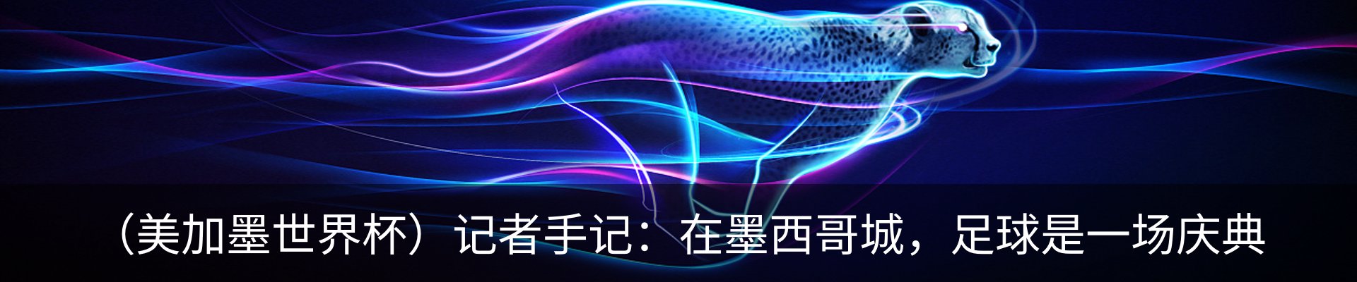 最新动态